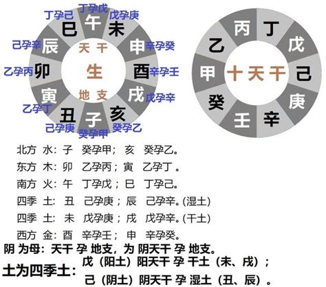 地支藏干意思|地支藏干的作用详解